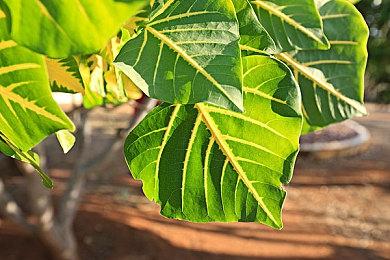 《Tower Unite》现已正式推出 经典虚拟空间互动冒险